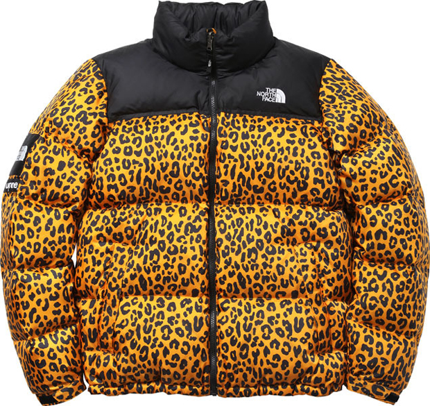 the north face supreme jacket price